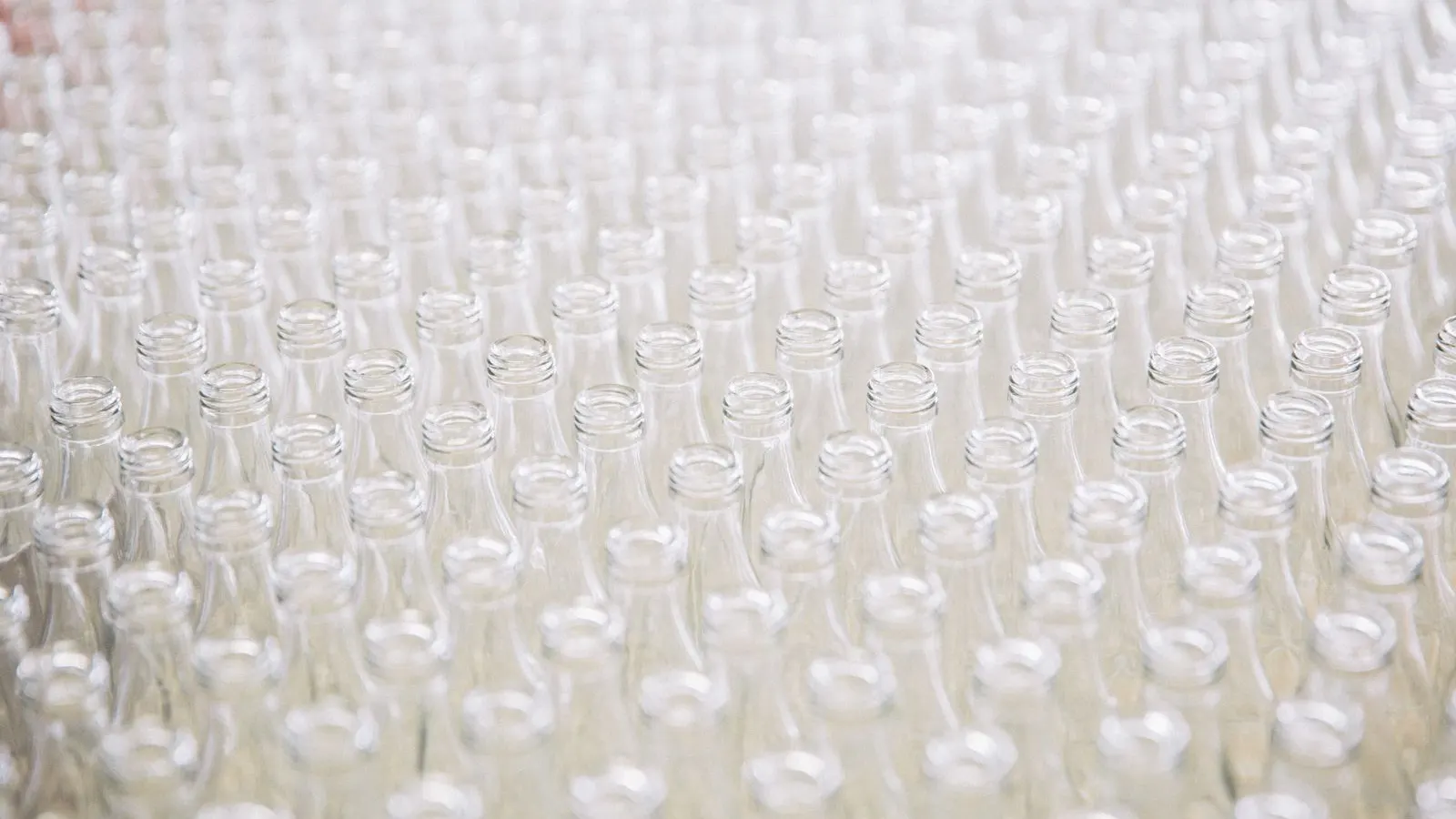 Bottles on a production line, representing tapered bottle labeling compatibility.